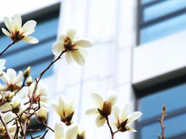 北京印刷学院王牌专业：以诗为墨装饰世间夸姣(图2)