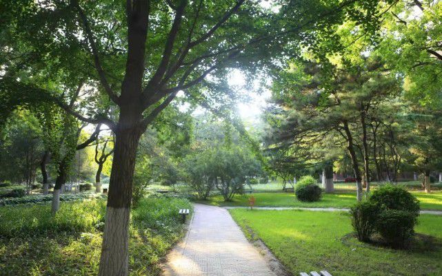 北京印刷学院王牌专业：以诗为墨装饰世间夸姣(图5)